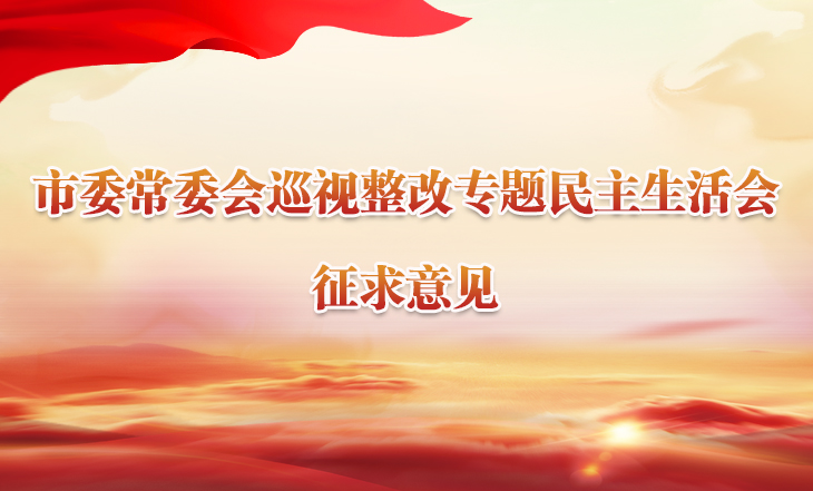 市委常委会巡视整改专题民主生活会征求意见