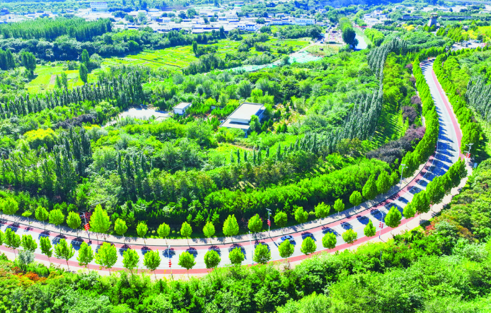 阡陌焕新颜 路通百业兴 “四好农村路”串起好山好水好生活