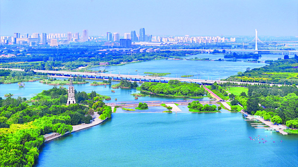 �����ӵĴ�