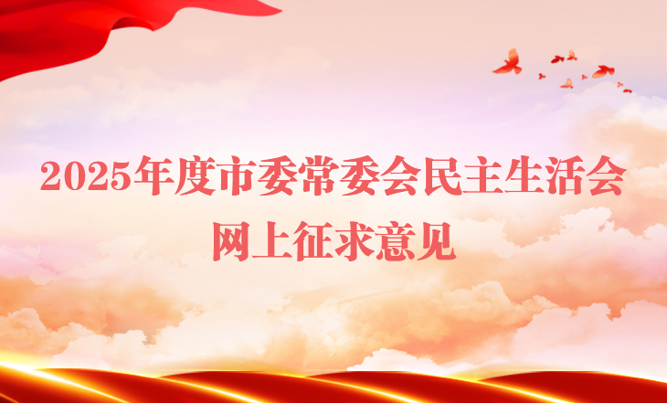 2025年度市委常委会民主生活会网上征求意见