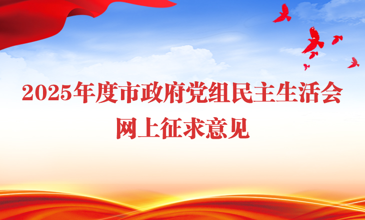 2025年度市政府党组民主生活会网上征求意见