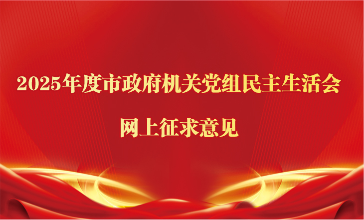 2025年度市政府机关党组民主生活会网上征求意见