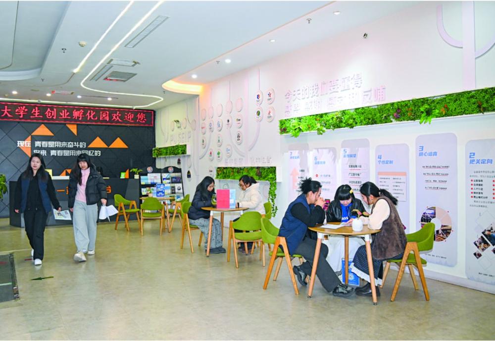 沃土滋养：创业梦想花开石家庄