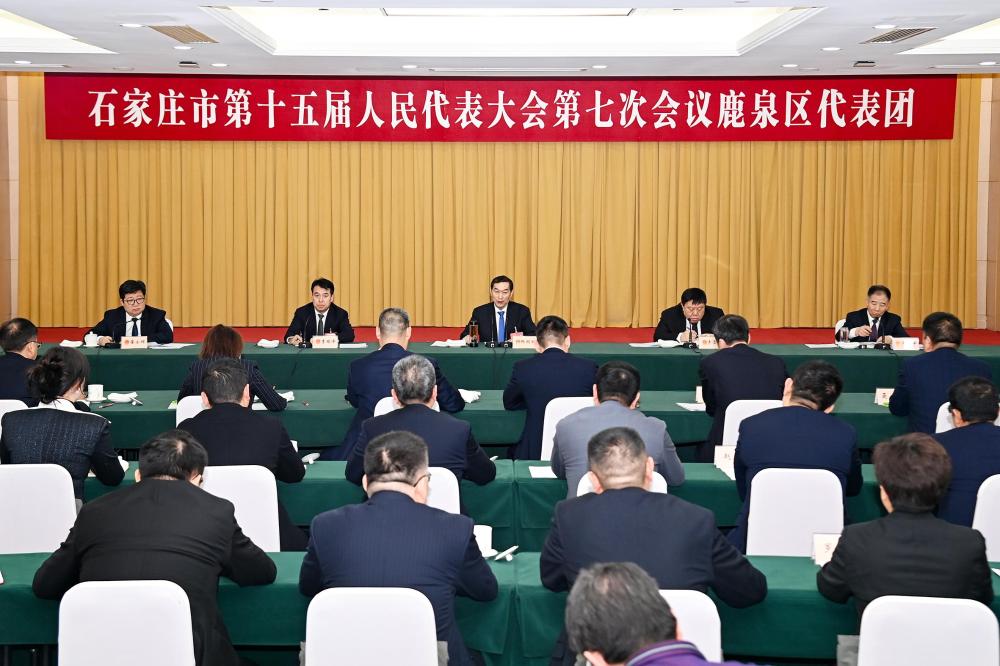 张超超参加市十五届人大七次会议鹿泉区代表团审议