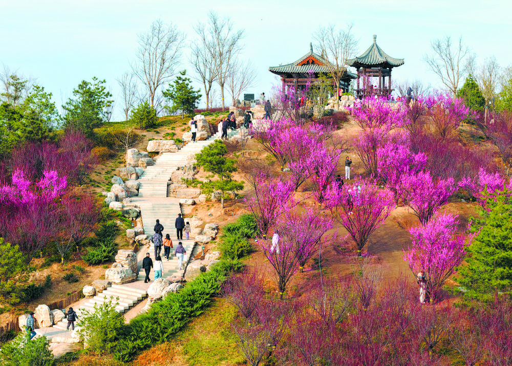 һ԰һ�� ʫ���ܾӡ���ʯ��ׯ����1031����԰��������Ҹ���ɫ