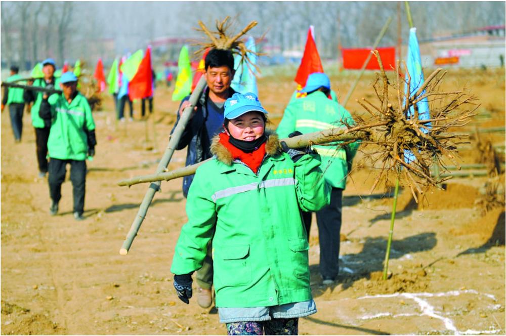 一抹新绿满城春——石家庄市春季植树造林科学有序推进 