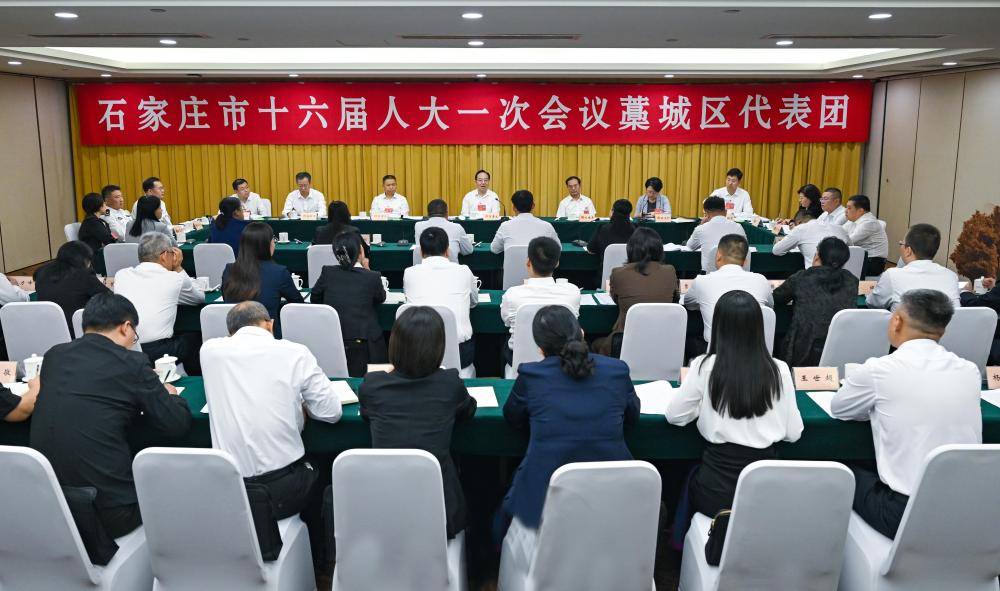 王素文参加市十六届人大一次会议藁城区、正定县代表团审议